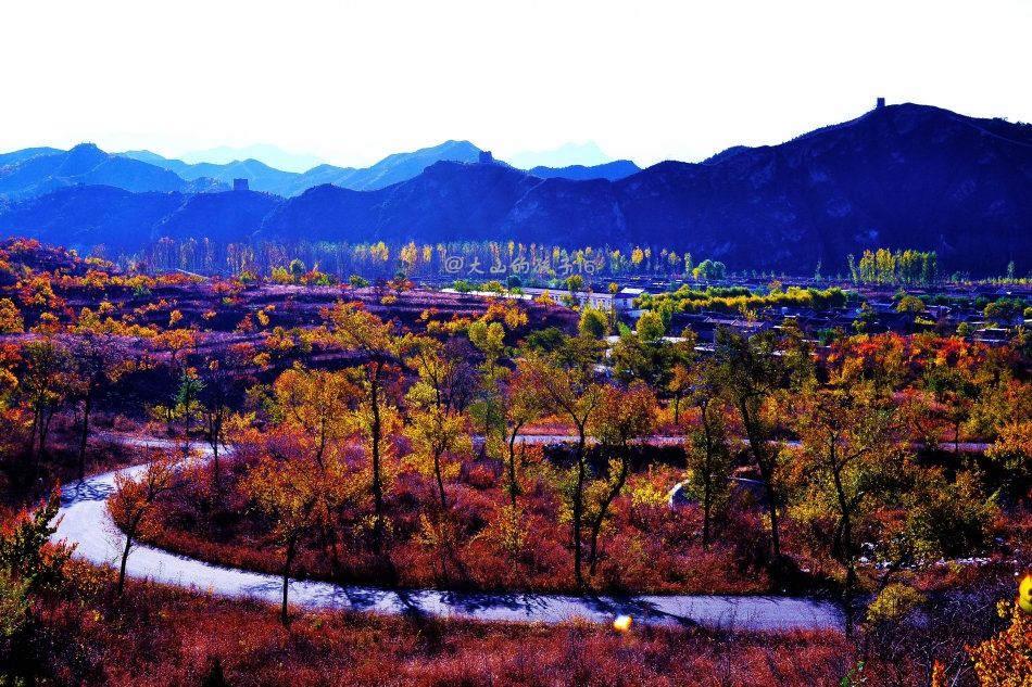 DH马赛分组公布 TYLOO与NaVi、Fnatic同组【BJL平台集团】(图2) BJL平台集团