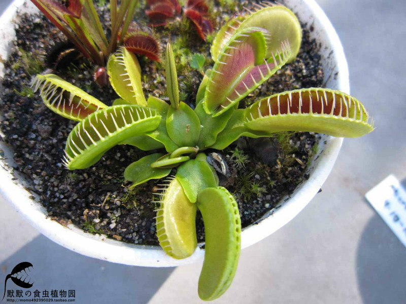 ‘BJL平台集团’
熊孩子为买游戏里的玛莎拉蒂 全部家当浪费一空 全家只剩100元(图4) BJL平台集团