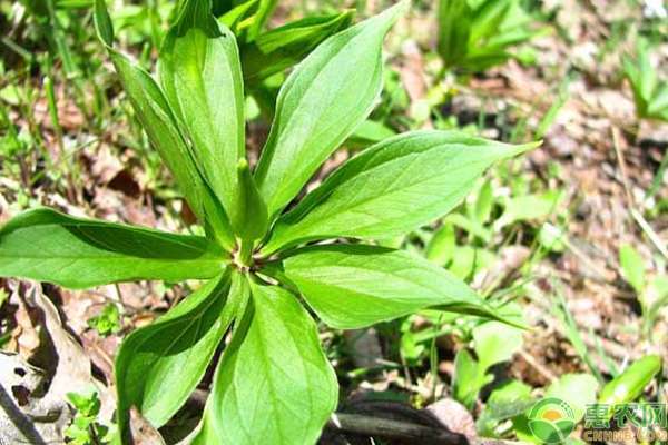 2019年河池失业保险最新规定:缴费比例、基数、多少钱-BJL平台(图2) BJL平台集团